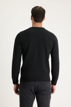 Regular Fit Crew Neck Wool Knitwear