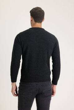 Regular Fit Crew Neck Wool Knitwear