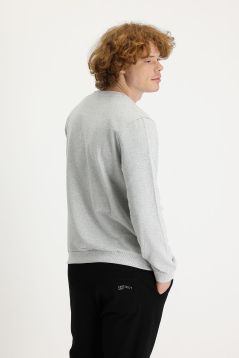 Rundhals Baumwoll-Sweatshirt