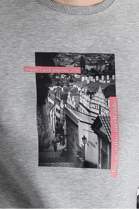 Rundhals-Fleecegefüttertes Bedrucktes Baumwoll-Sweatshirt