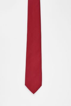 Solid Color Tie