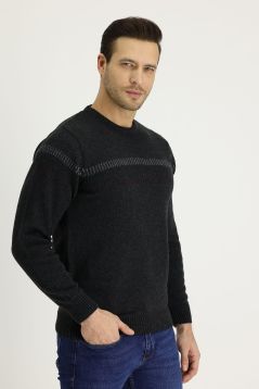 Crew Neck Patterned Wool Regular Fit Jumper