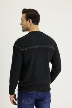 Crew Neck Patterned Wool Regular Fit Jumper