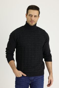 Turtleneck Regular Fit Jumper