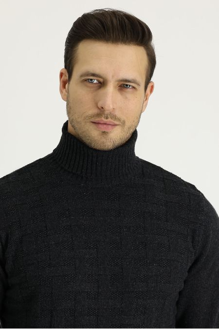 Turtleneck Regular Fit Jumper