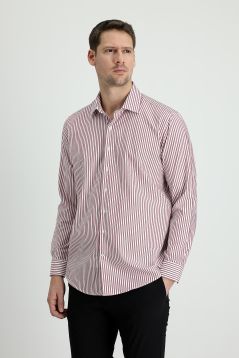 Long Sleeve Striped Slim Fit Shirt