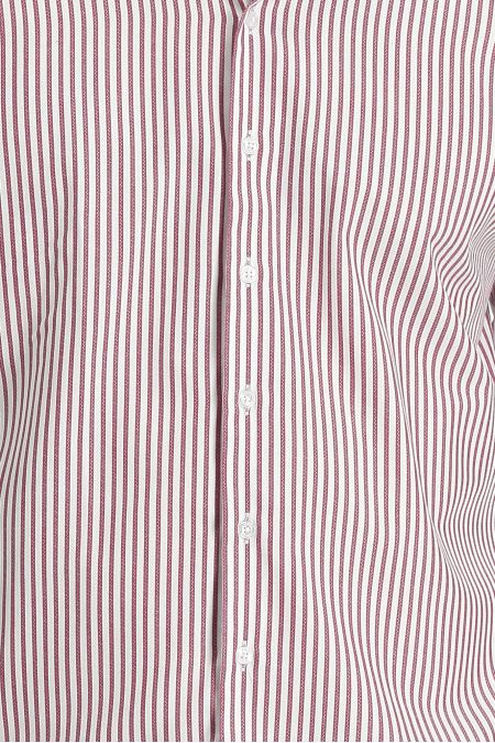 Long Sleeve Striped Slim Fit Shirt