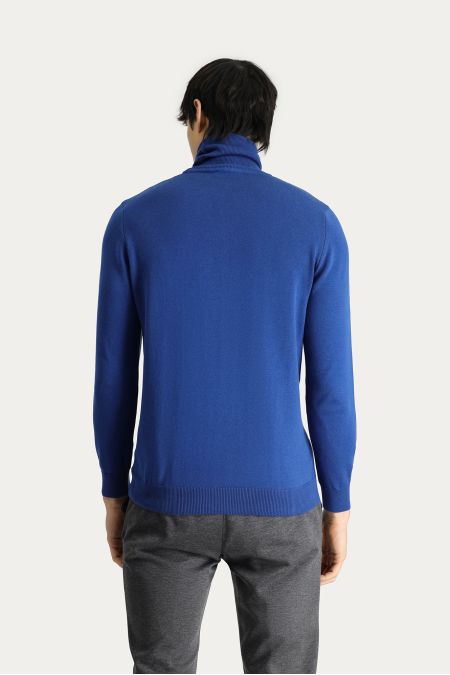 Rollkragenpullover, Regular Fit