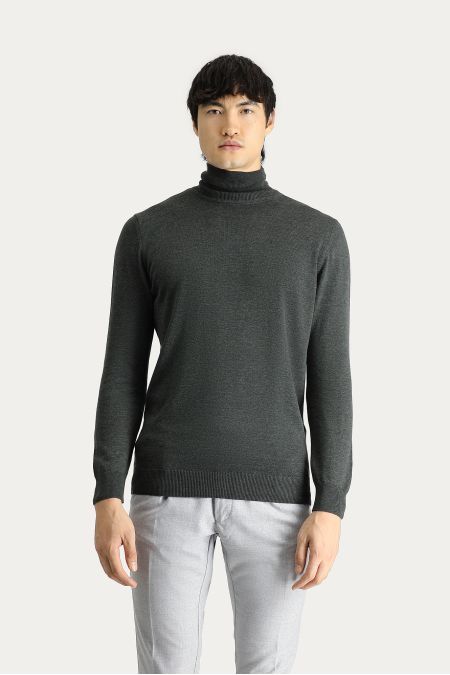 Rollkragenpullover, Regular Fit