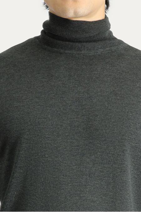 Rollkragenpullover, Regular Fit