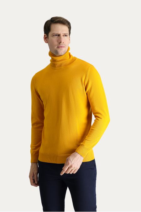 Rollkragenpullover, Regular Fit