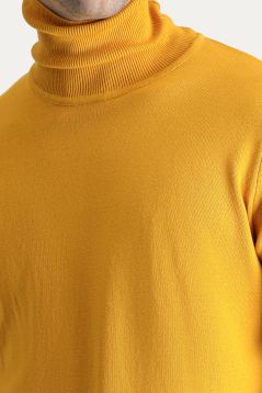 Turtleneck Jumper/Sweater