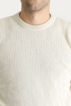 Crew Neck Regular Fit Jumper