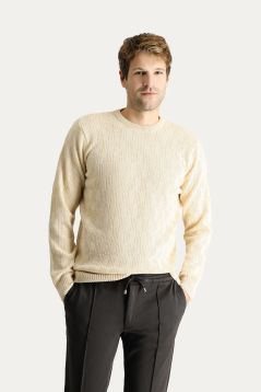 Crew Neck Regular Fit Jumper