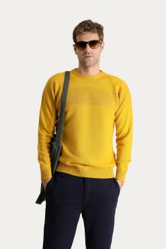 Crew Neck Patterned Wool Slim Fit Jumper