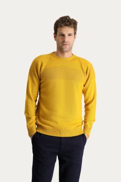 Crew Neck Patterned Wool Slim Fit Jumper