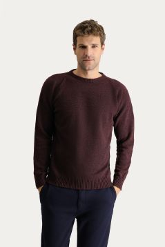 Crew Neck Patterned Wool Slim Fit Jumper