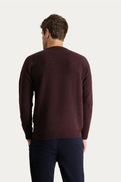 Crew Neck Patterned Wool Slim Fit Jumper