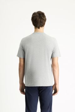 Regular Fit Crew Neck T-Shirt