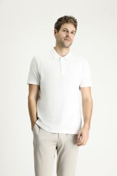 Polo Neck Regular Fit T-Shirt