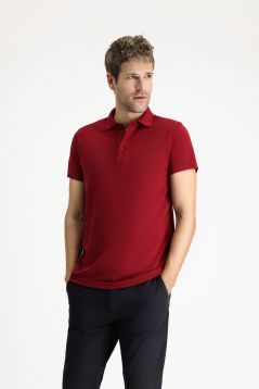 Polo Collar Regular Fit Embroidered Cotton T-Shirt