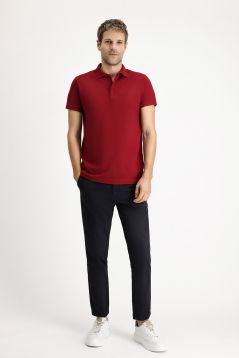 Polo Neck Regular Fit Embroidered T-Shirt