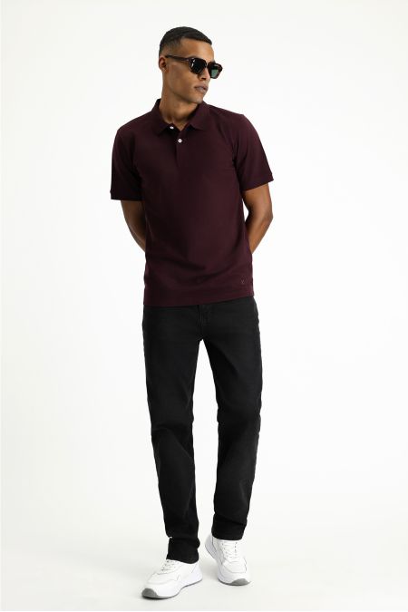 Polo Neck Regular Fit Embroidered T-Shirt