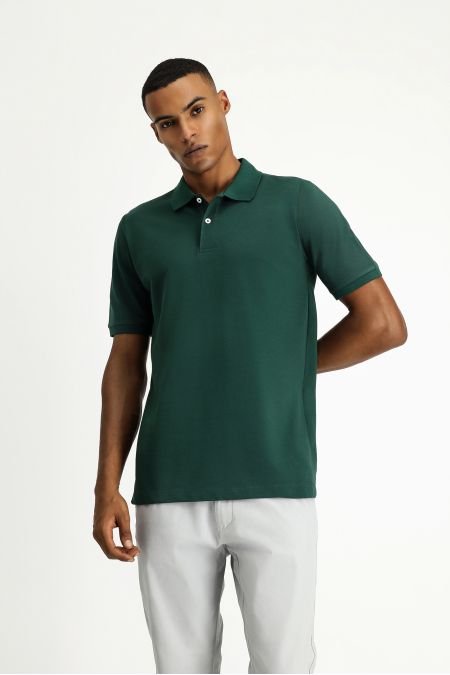 Polo Neck Regular Fit Embroidered T-Shirt