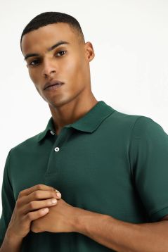 Polo Neck Regular Fit Embroidered T-Shirt