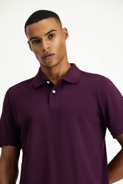 Polo Neck Regular Fit Embroidered T-Shirt