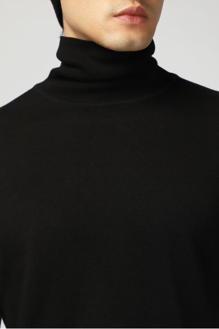 Rollkragenpullover, Regular Fit