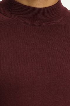 Mock-Turtleneck Regular Fit Jumper