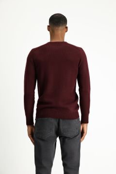 Crew Neck Regular Fit Jumper