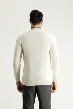 Mock-Turtleneck Slim Fit Jumper