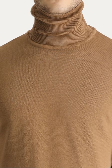 Rollkragenpullover, Regular Fit