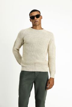 Crew Neck Regular Fit Jumper