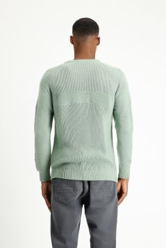 Crew Neck Regular Fit Jumper