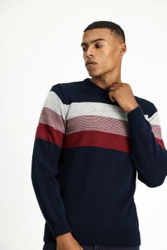 Crew Neck Regular Fit Jumper