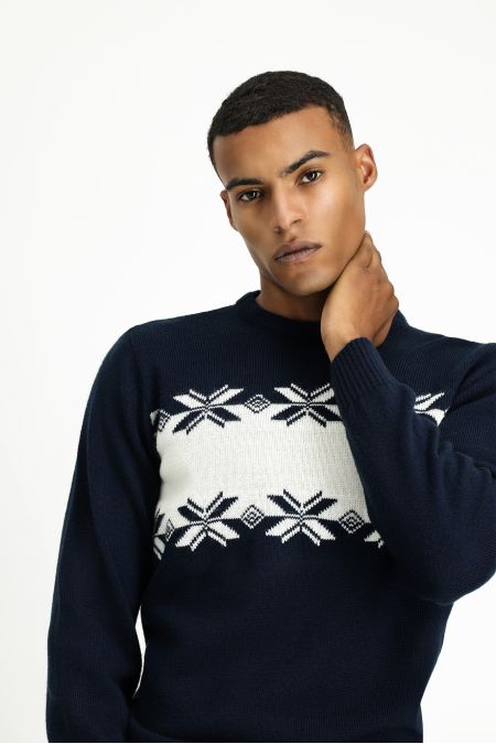 Crew Neck Regular Fit Jumper