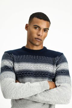 Crew Neck Regular Fit Jumper