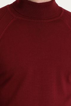 Turtleneck Slim Fit Jumper